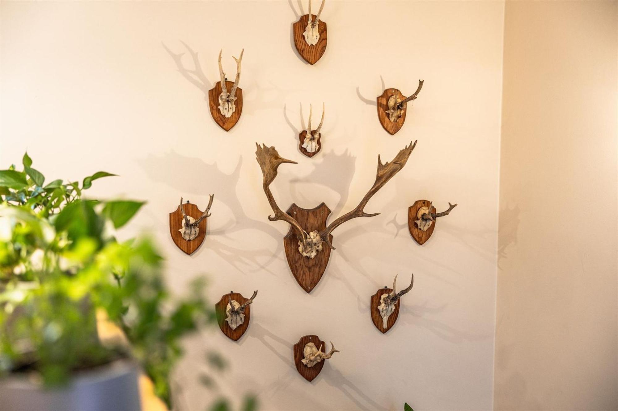 Domki Chata Huncwota Zakopane Room photo